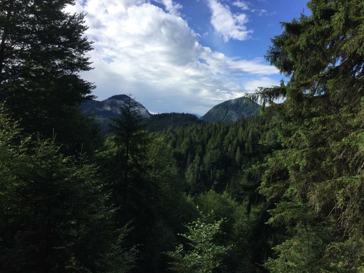 Ferienwohnung Almflair Chalet Thiersee Exteriör bild