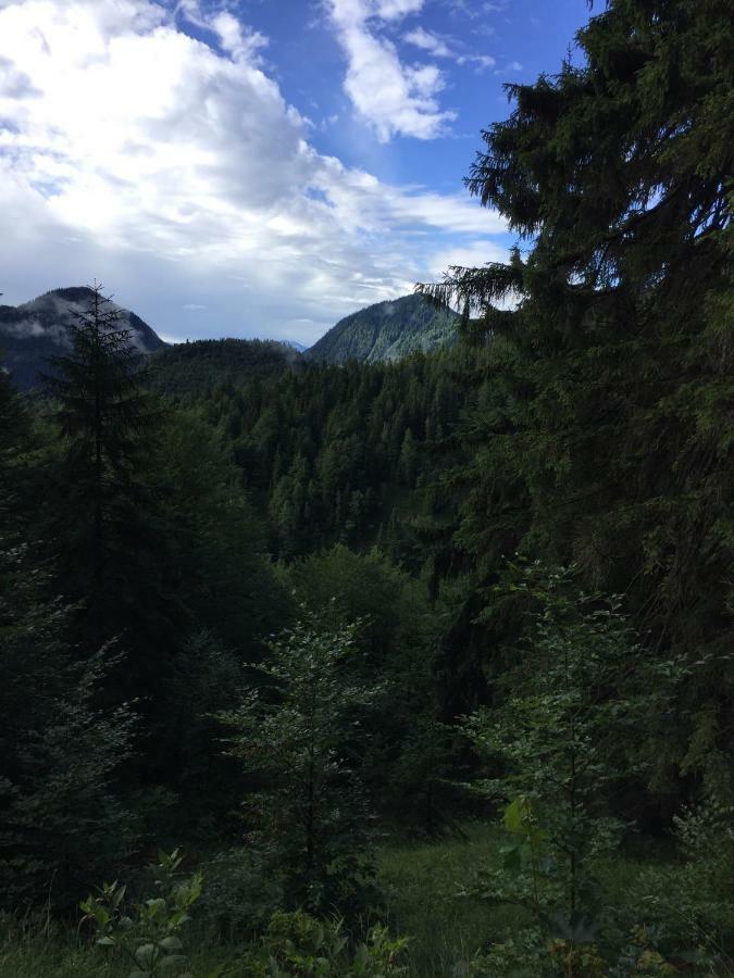 Ferienwohnung Almflair Chalet Thiersee Exteriör bild